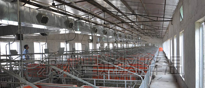 養(yǎng)豬對溫度有什么要求？溫濕度對養(yǎng)殖場的影響