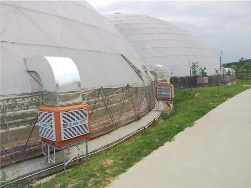 溫室大棚通風(fēng)降溫設(shè)備|潤(rùn)東方環(huán)?？照{(diào)