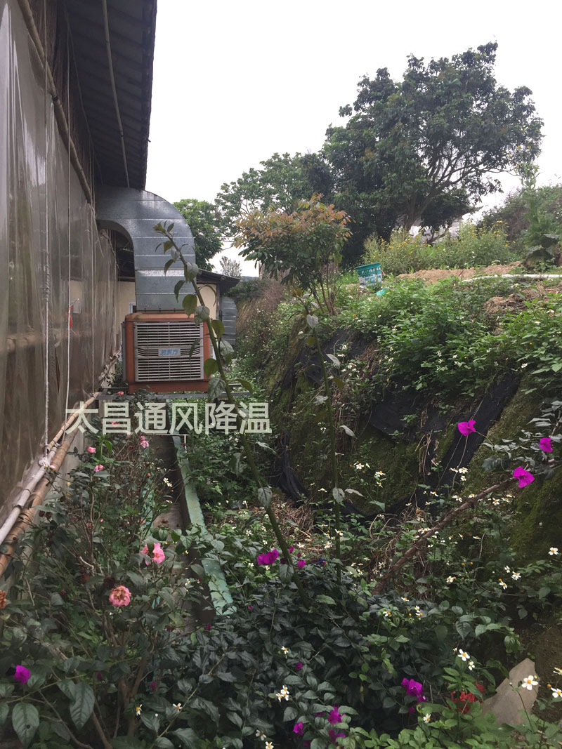 天氣太熱?環(huán)保空調(diào)為你的餐廳守護(hù)清涼